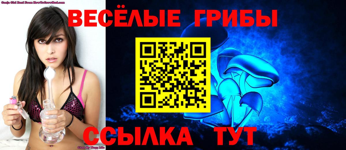 Псилоцибиновые грибы мицелий Энгельс